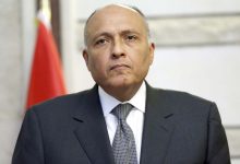 صورة وزير الخارجية يشيد بمستوى التعاون المستمر بين مصر ومنظمة “يونيدو”